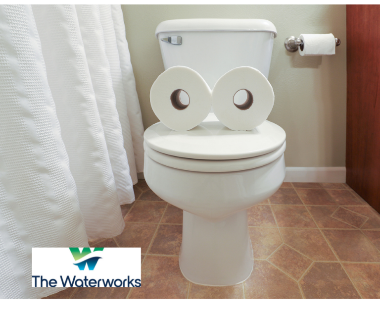 October is National Toilet Repair Month